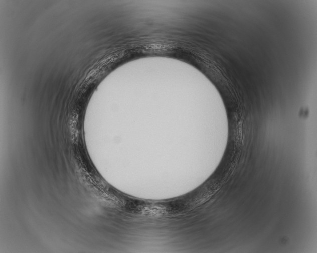 X0000115410599200912011342