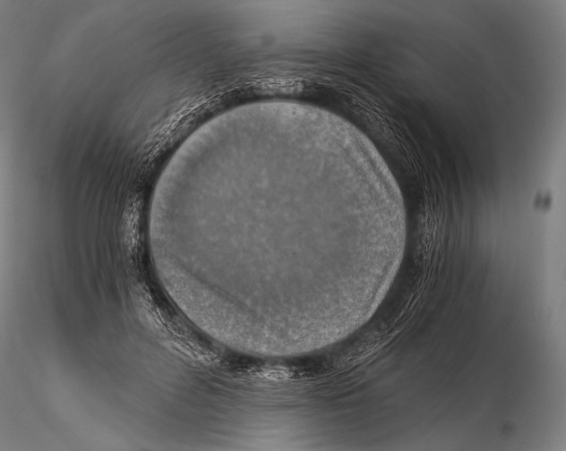 X0000115410600200912011342