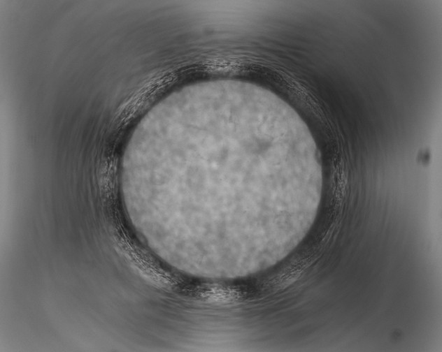 X0000115410601200912011342