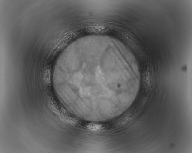 X0000115410602200912011342