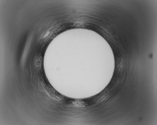 X0000115410603200912011342