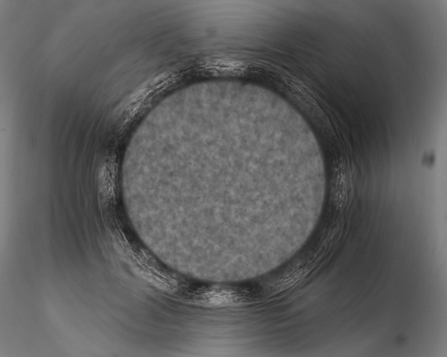 X0000115410604200912011342