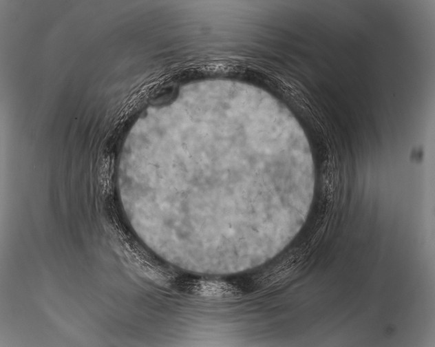 X0000115410605200912011342