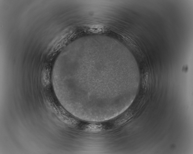 X0000115410606200912011342