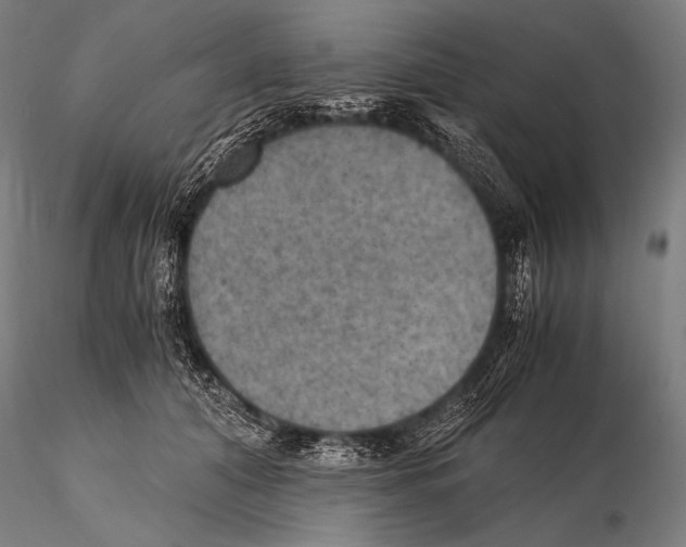 X0000115410608200912011342