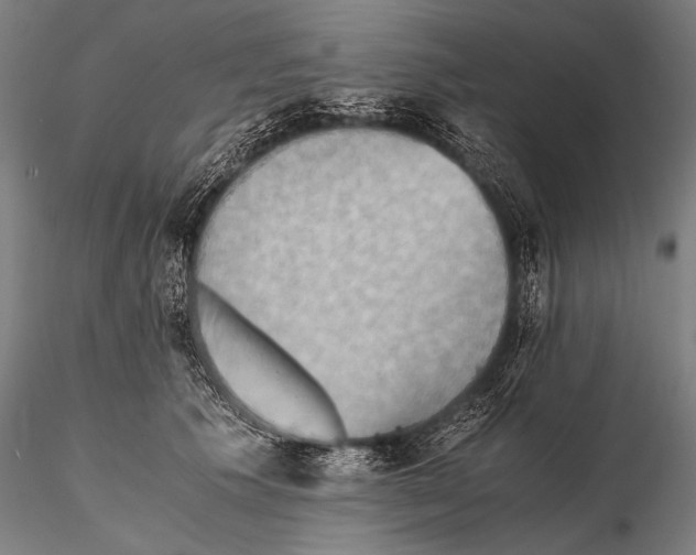 X0000115410609200912011342