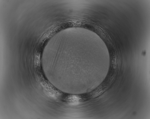 X0000115410610200912011342