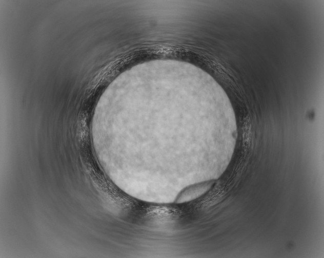 X0000115410611200912011342