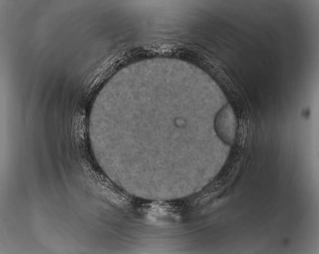 X0000115410612200912011342