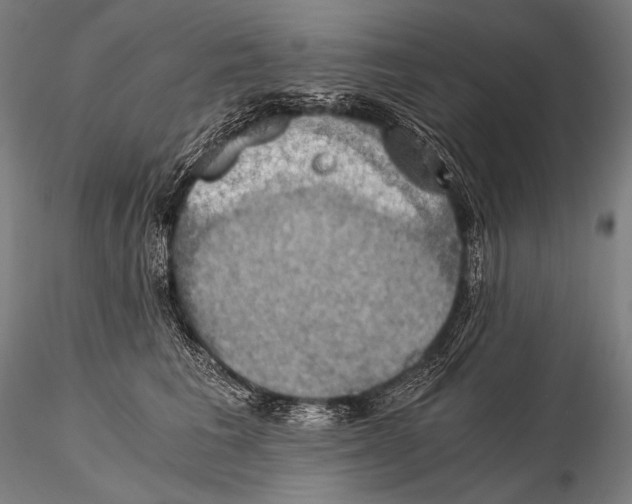 X0000115410613200912011342