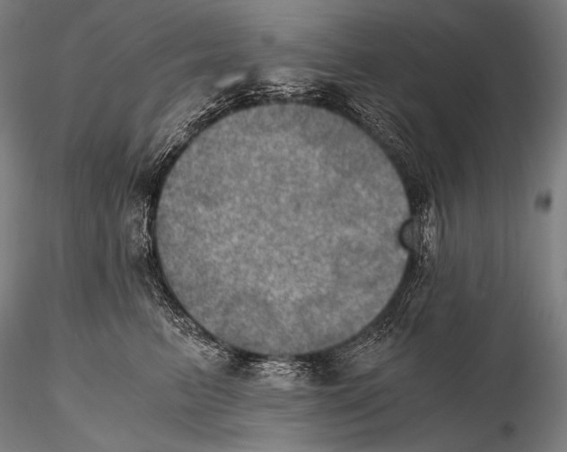 X0000115410615200912011342