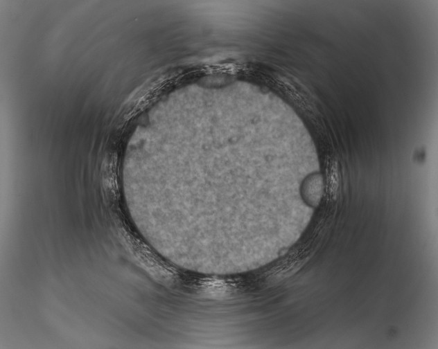 X0000115410616200912011342