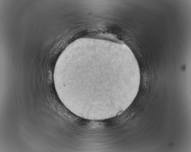 X0000115410617200912011342