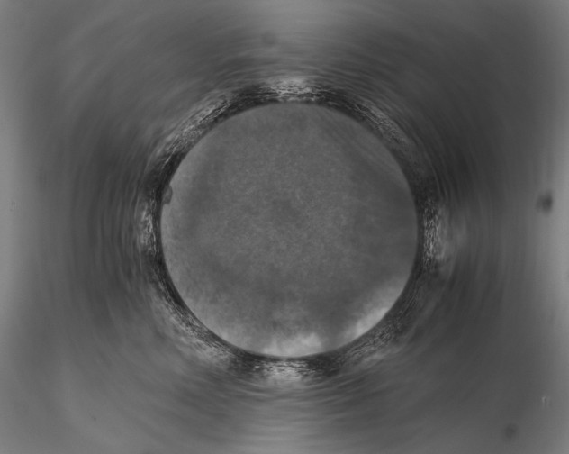 X0000115410618200912011342