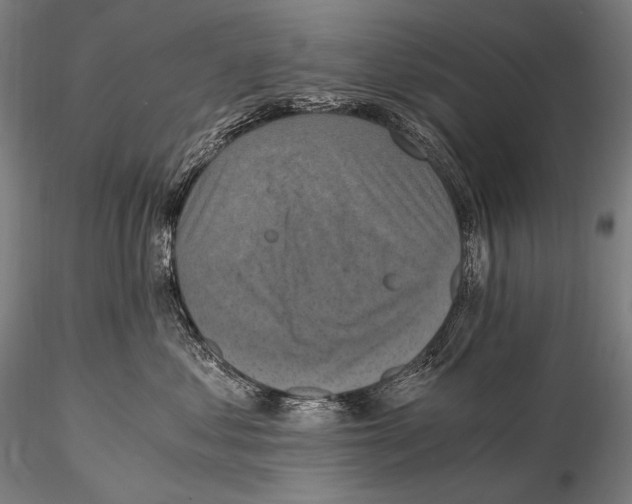 X0000115410621200912011342