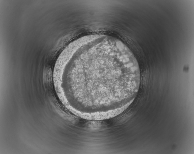 X0000115410623200912011341