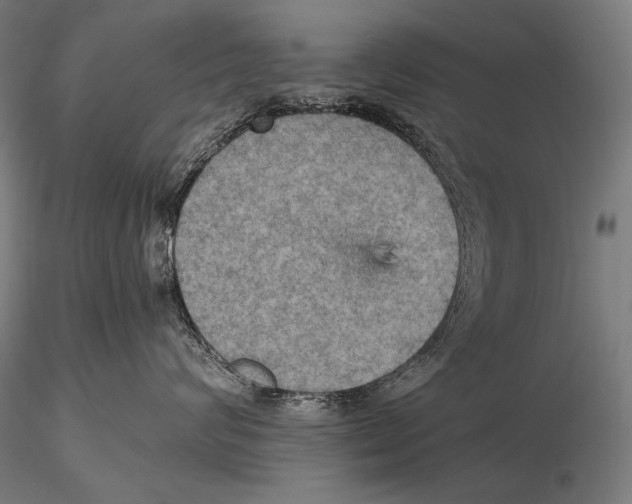 X0000115410624200912011341