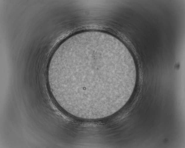 X0000115410625200912011341