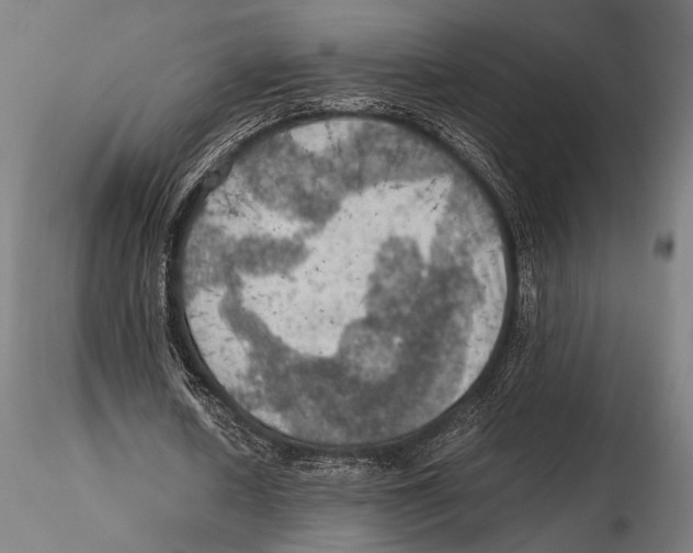 X0000115410626200912011341