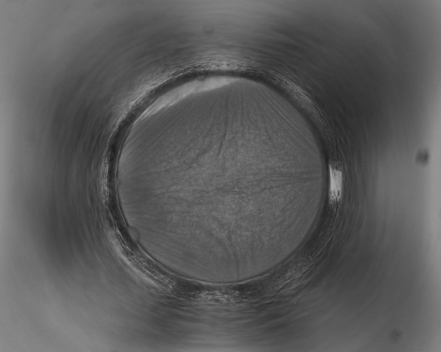 X0000115410627200912011341