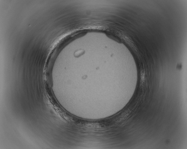 X0000115410628200912011341