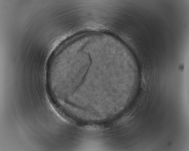 X0000115410630200912011341