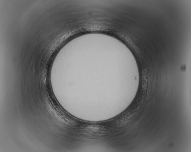 X0000115410631200912011341