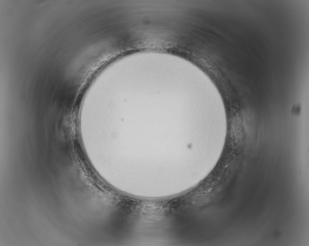 X0000115410632200912011341