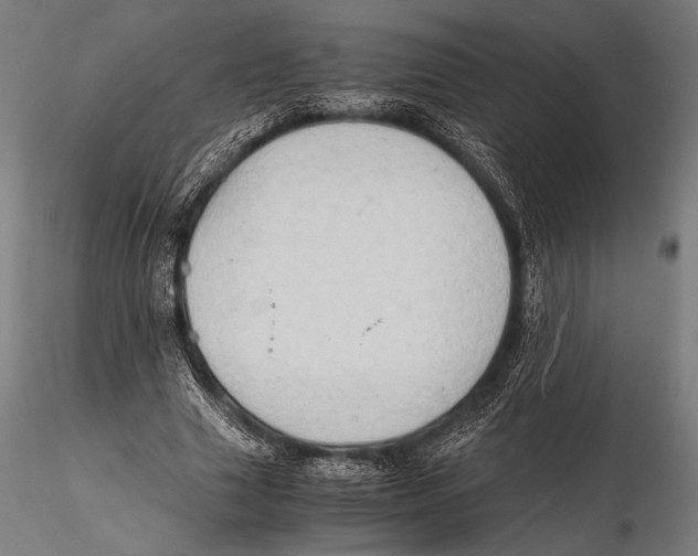 X0000115410633200912011341