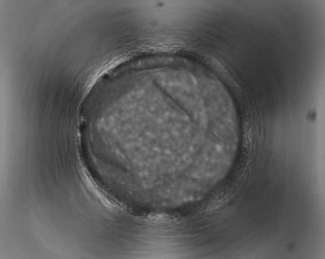 X0000115410634200912011341