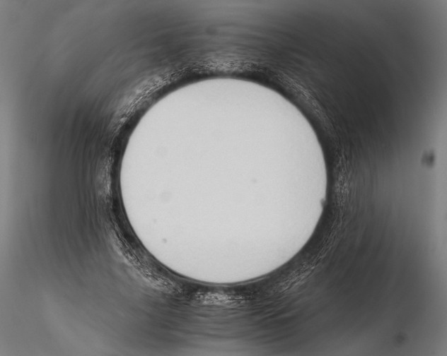 X0000115410635200912011341