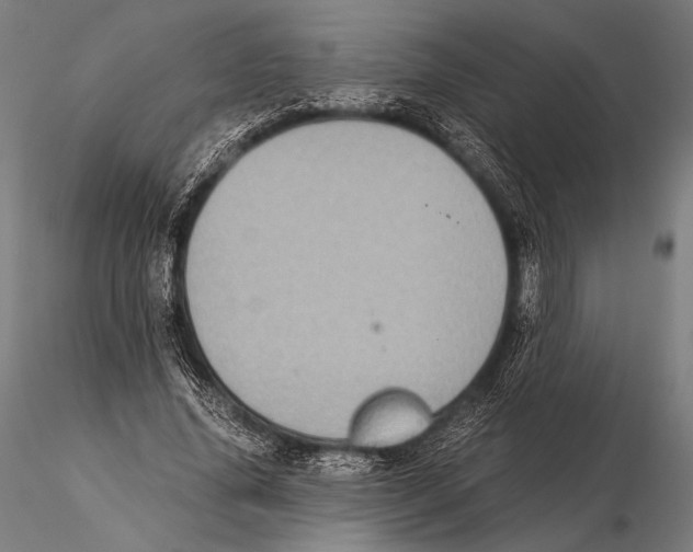 X0000115410636200912011341