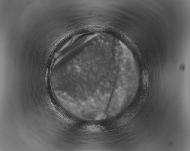 X0000115410637200912011341