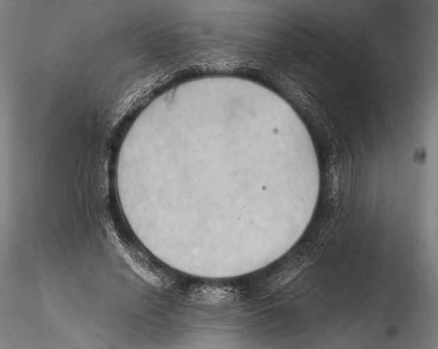 X0000115410638200912011341