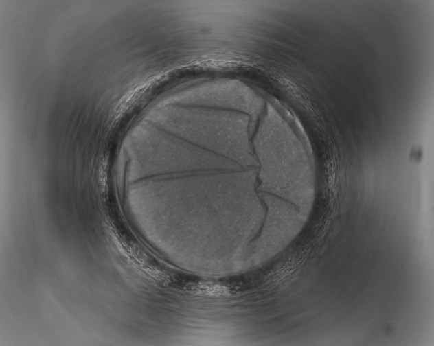 X0000115410640200912011341