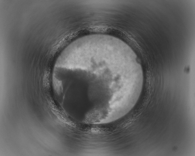 X0000115410641200912011341