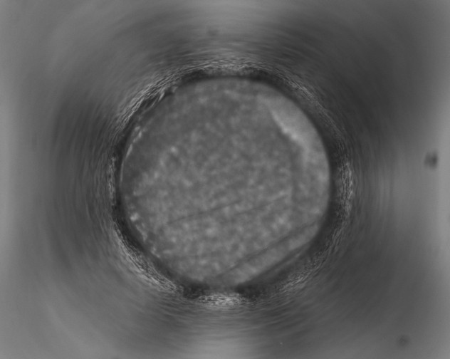 X0000115410642200912011341