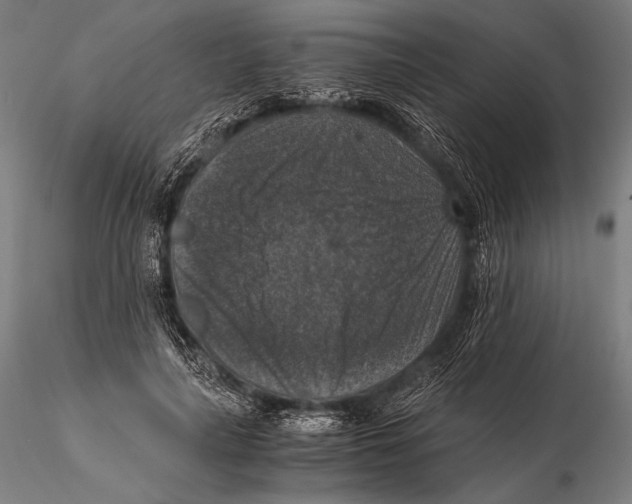 X0000115410643200912011341