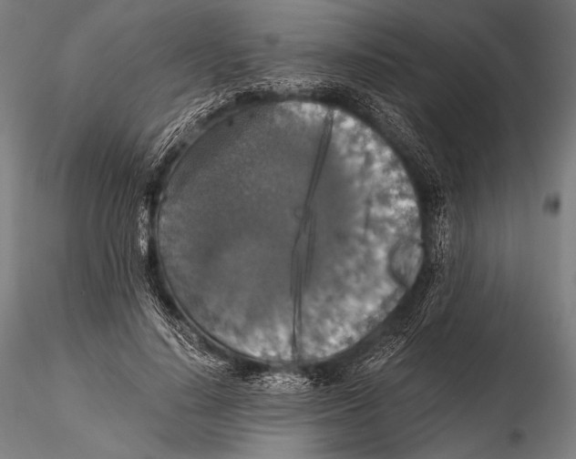 X0000115410644200912011341