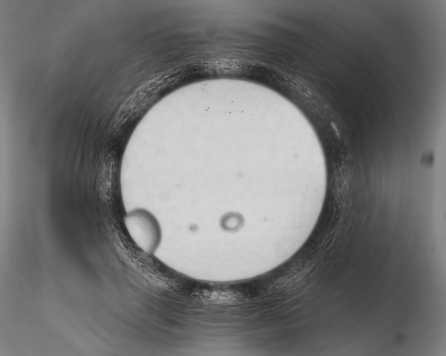 X0000115410645200912011341