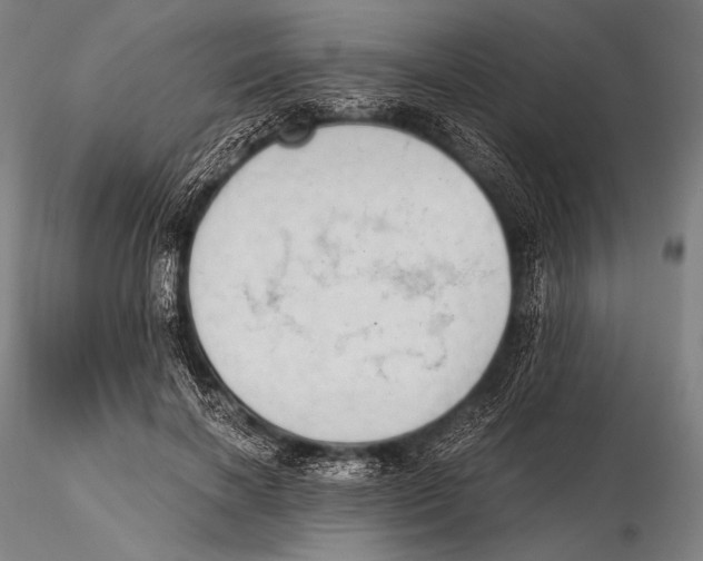 X0000115410646200912011341