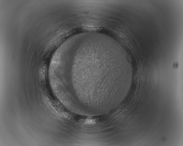 X0000115410647200912011341