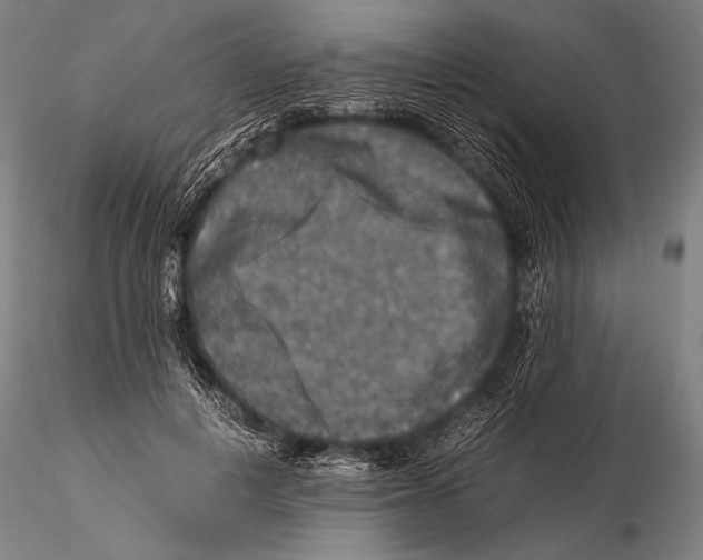 X0000115410648200912011341