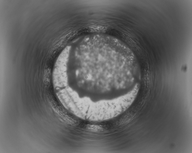 X0000115410649200912011341