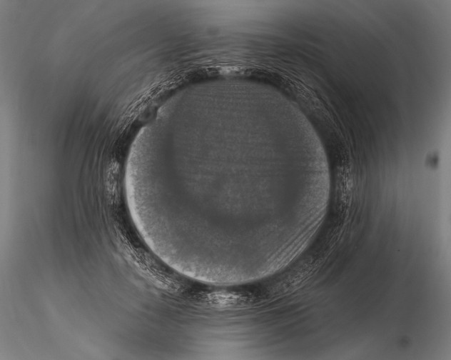 X0000115410650200912011341