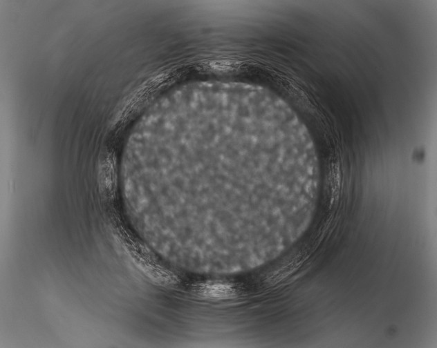 X0000115410651200912011341