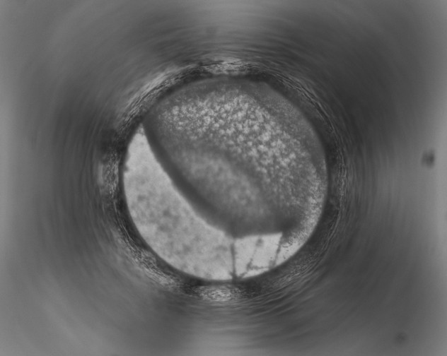 X0000115410652200912011341