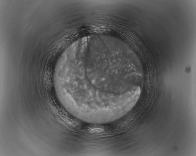 X0000115410653200912011341