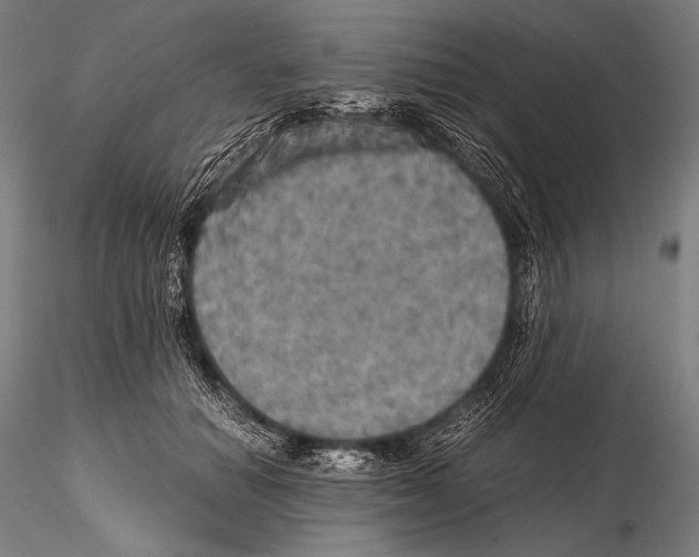 X0000115410654200912011341