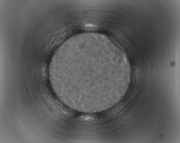 X0000115410655200912011341